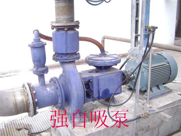 強(qiáng)自吸泵