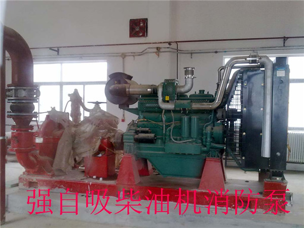 強(qiáng)自吸柴油機(jī)消防泵