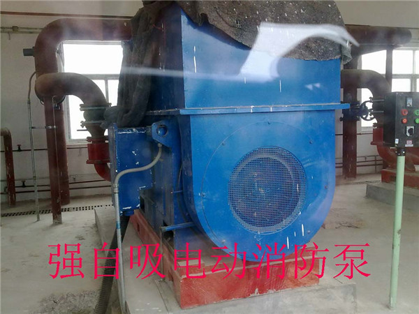 強(qiáng)自吸電動(dòng)消防泵