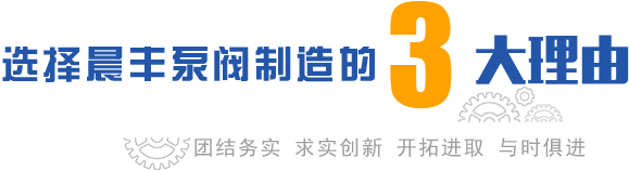 靖江市晨豐泵閥制造有限公司